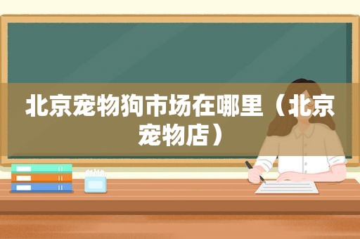 北京宠物狗市场在哪里（北京宠物店）