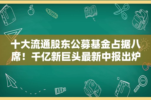 十大流通股东公募基金占据八席！千亿新巨头最新中报出炉