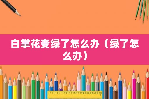白掌花变绿了怎么办（绿了怎么办）