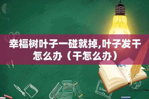 幸福树叶子一碰就掉,叶子发干怎么办（干怎么办）
