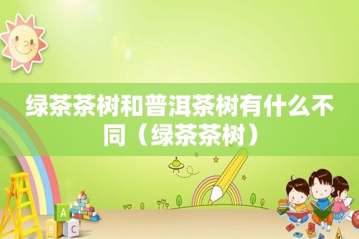 绿茶茶树和普洱茶树有什么不同（绿茶茶树）