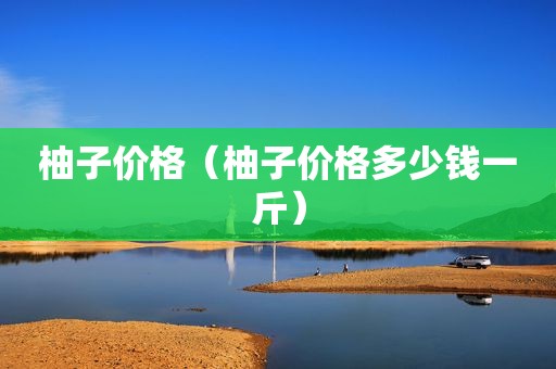 柚子价格（柚子价格多少钱一斤）