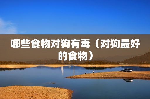 哪些食物对狗有毒（对狗最好的食物）