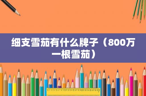 细支雪茄有什么牌子（800万一根雪茄）