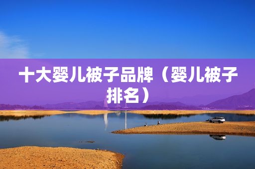十大婴儿被子品牌（婴儿被子排名）