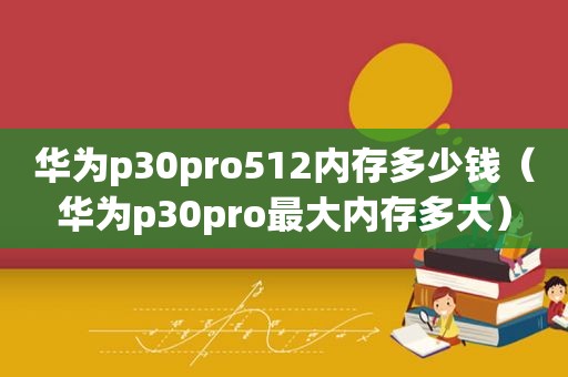 华为p30pro512内存多少钱（华为p30pro最大内存多大）