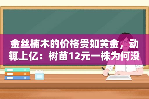 金丝楠木的价格贵如黄金，动辄上亿：树苗12元一株为何没人种植？