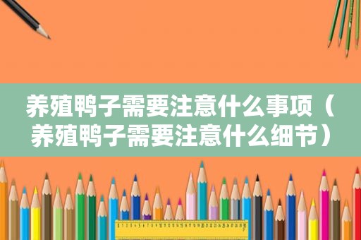 养殖鸭子需要注意什么事项（养殖鸭子需要注意什么细节）