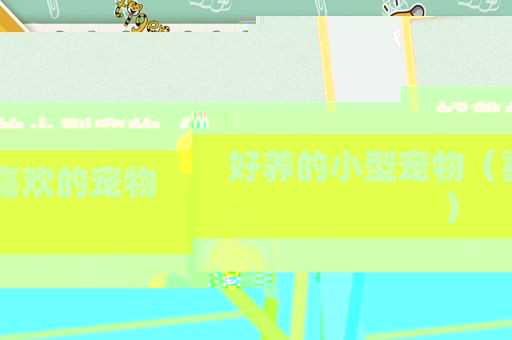 好养的小型宠物（喜欢的宠物）