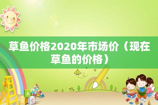 草鱼价格2020年市场价（现在草鱼的价格）