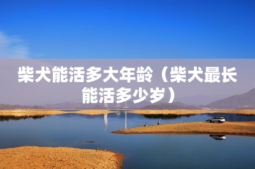 柴犬能活多大年龄（柴犬最长能活多少岁）