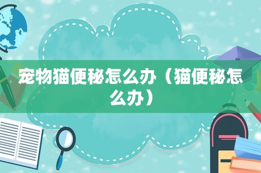 宠物猫便秘怎么办（猫便秘怎么办）