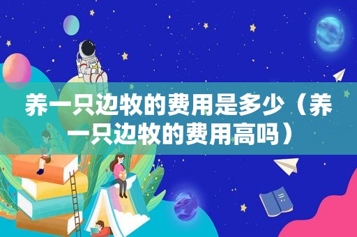 养一只边牧的费用是多少（养一只边牧的费用高吗）