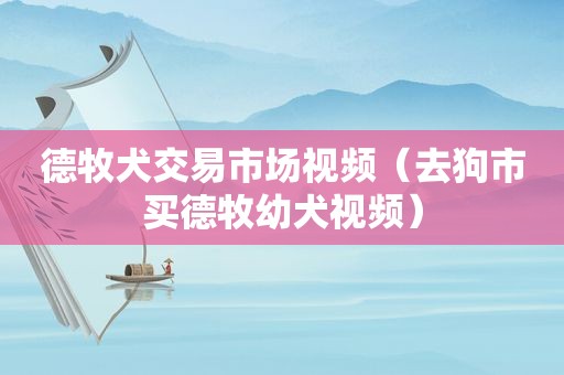 德牧犬交易市场视频（去狗市买德牧幼犬视频）