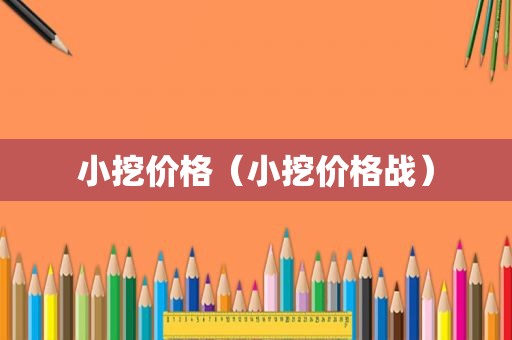 小挖价格（小挖价格战）
