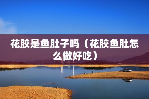 花胶是鱼肚子吗（花胶鱼肚怎么做好吃）