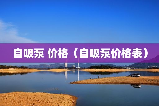 自吸泵 价格（自吸泵价格表）