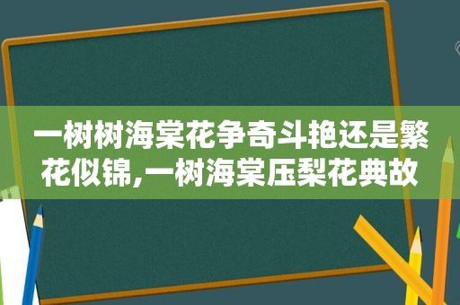 一树树海棠花争奇斗艳还是繁花似锦,一树海棠压梨花典故