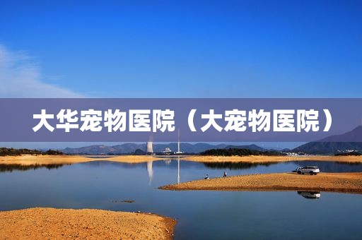 大华宠物医院（大宠物医院）