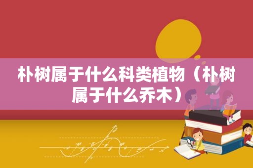 朴树属于什么科类植物（朴树属于什么乔木）