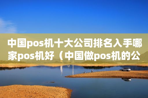中国pos机十大公司排名入手哪家pos机好（中国做pos机的公司排名）