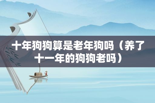 十年狗狗算是老年狗吗（养了十一年的狗狗老吗）