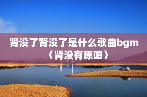 肾没了肾没了是什么歌曲bgm（肾没有原唱）