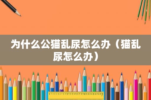为什么公猫乱尿怎么办（猫乱尿怎么办）