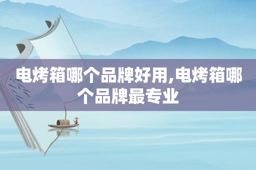 电烤箱哪个品牌好用,电烤箱哪个品牌最专业