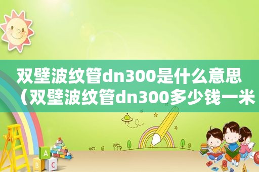 双壁波纹管dn300是什么意思（双壁波纹管dn300多少钱一米）