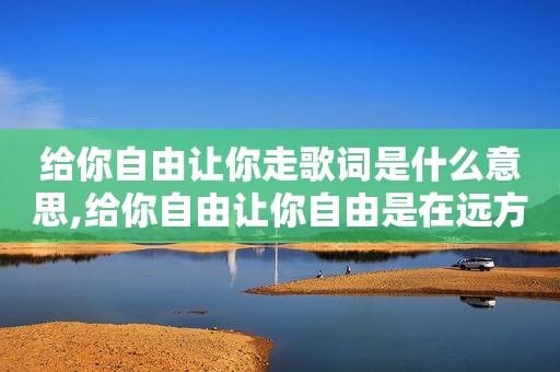 给你自由让你走歌词是什么意思,给你自由让你自由是在远方剧中什么歌曲