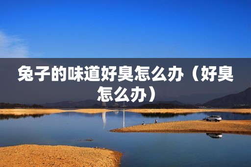 兔子的味道好臭怎么办（好臭怎么办）