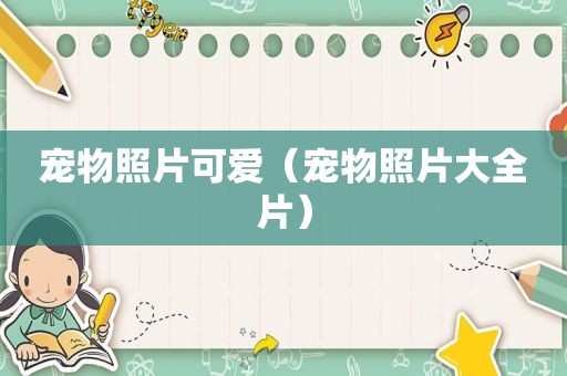 宠物照片可爱（宠物照片大全片）