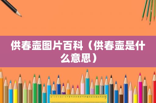 供春壶图片百科（供春壶是什么意思）