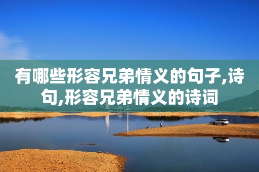 有哪些形容兄弟情义的句子,诗句,形容兄弟情义的诗词