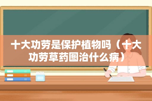 十大功劳是保护植物吗（十大功劳草药图治什么病）