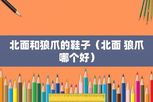 北面和狼爪的鞋子（北面 狼爪哪个好）