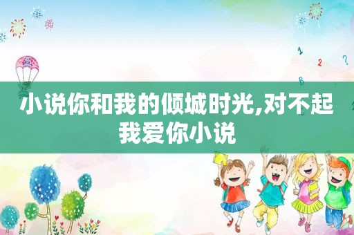 小说你和我的倾城时光,对不起我爱你小说