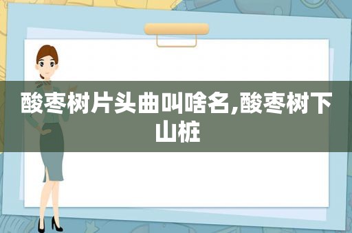 酸枣树片头曲叫啥名,酸枣树下山桩