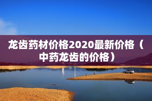 龙齿药材价格2020最新价格（中药龙齿的价格）
