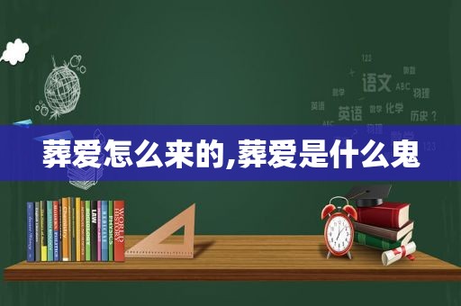 葬爱怎么来的,葬爱是什么鬼