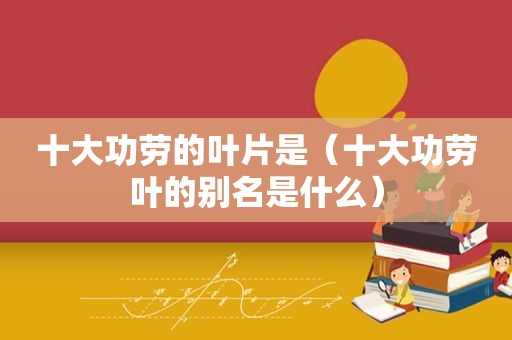 十大功劳的叶片是（十大功劳叶的别名是什么）