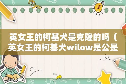 英女王的柯基犬是克隆的吗（英女王的柯基犬wilow是公是母）