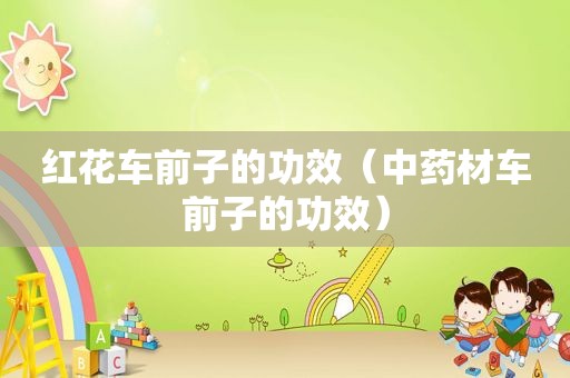 红花车前子的功效（中药材车前子的功效）
