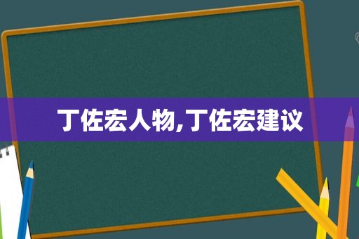 丁佐宏人物,丁佐宏建议