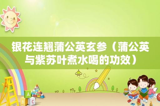 银花连翘蒲公英玄参（蒲公英与紫苏叶煮水喝的功效）