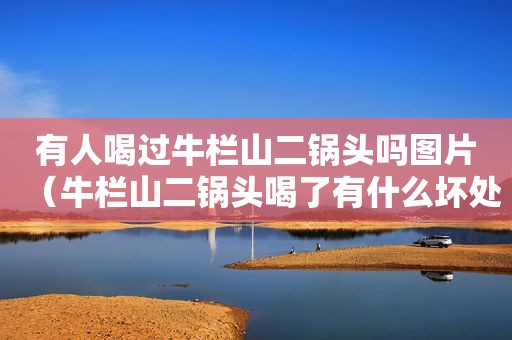 有人喝过牛栏山二锅头吗图片（牛栏山二锅头喝了有什么坏处）