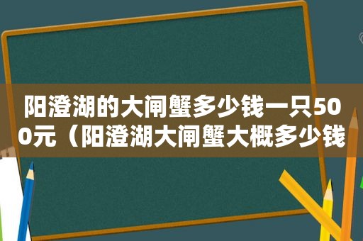 阳澄湖的大闸蟹多少钱一只500元（阳澄湖大闸蟹大概多少钱一只）