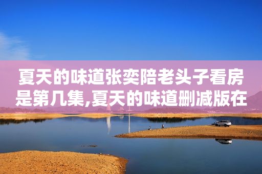 夏天的味道张奕陪老头子看房是第几集,夏天的味道删减版在线观看