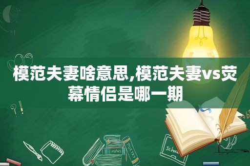 模范夫妻啥意思,模范夫妻vs荧幕情侣是哪一期
